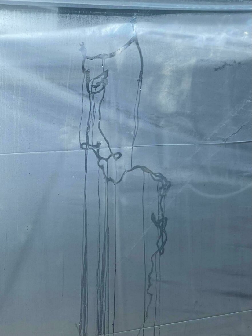 20 hermosas imágenes de “arte” que surgieron completamente por accidente