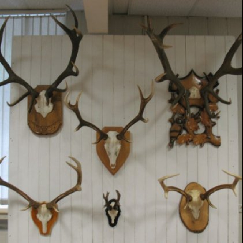 20 interior, which, in the opinion of the British, give a bad taste 20 interior, which, in the opinion of the British, give a bad taste