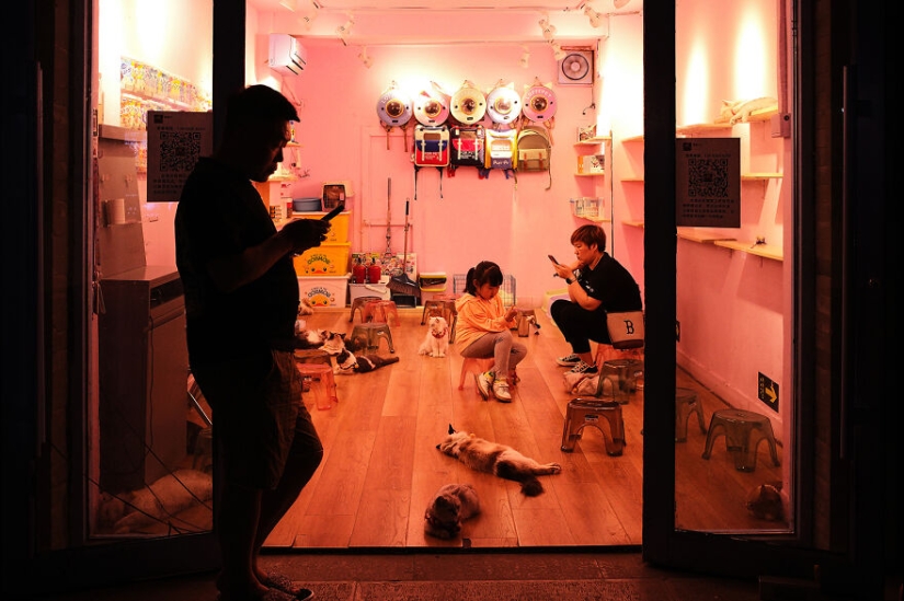 20 momentos impresionantes de Pekín capturados por el fotógrafo Chris Yan