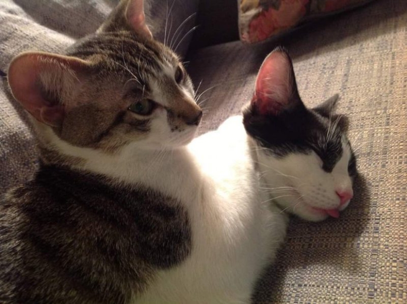 20 photos from the series " Thank God, it seemed..."