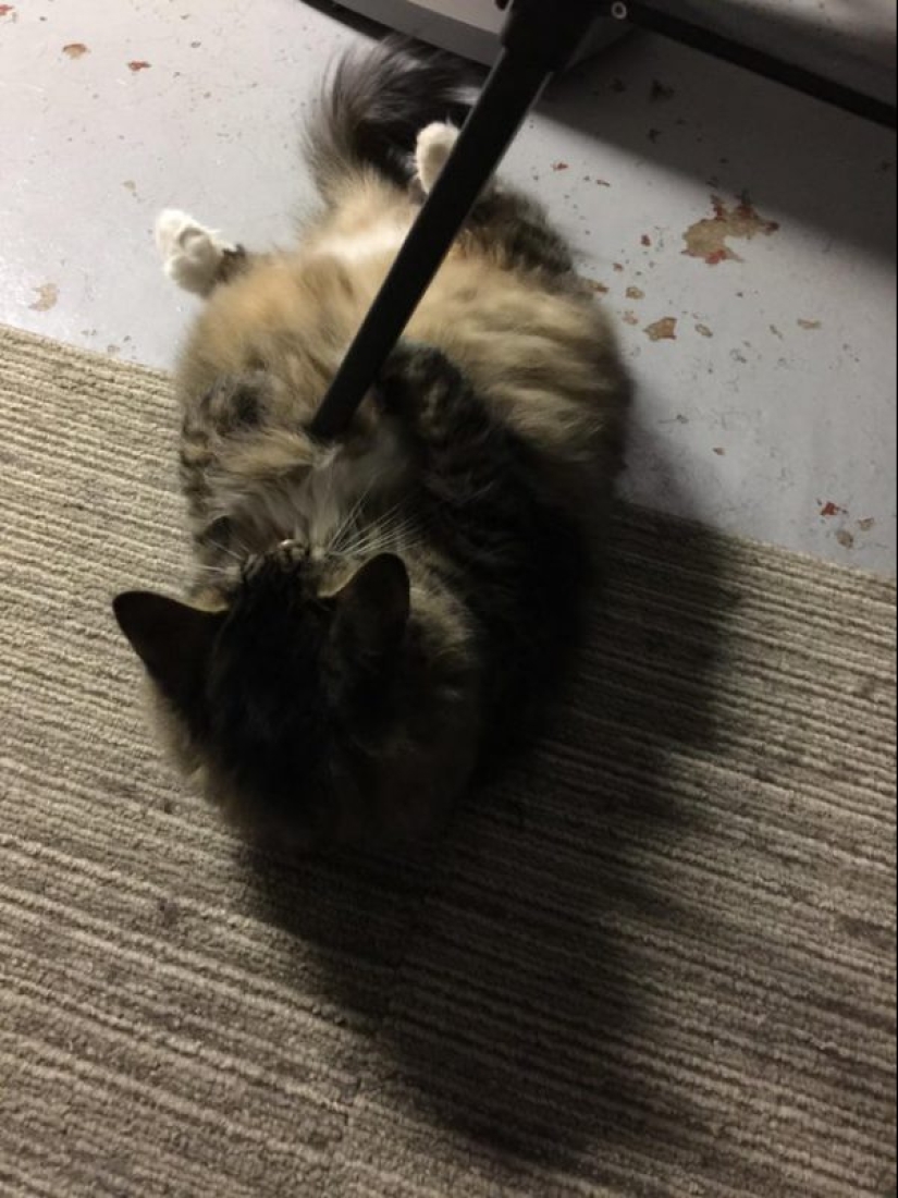 20 photos from the series " Thank God, it seemed..."