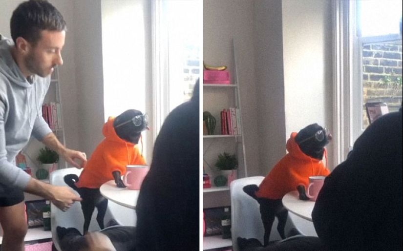 20 photos of people who wanted to be bloggers, but something went wrong