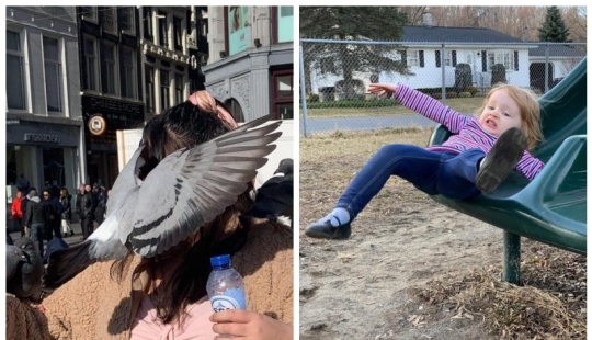 20 photos taken at the right moment that will make you take a closer look