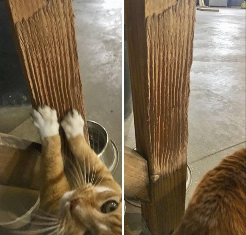 20+ pictures of the worn out things that prove that everything in this world has its time 20+ pictures of the worn out things that prove that everything in this world has its time