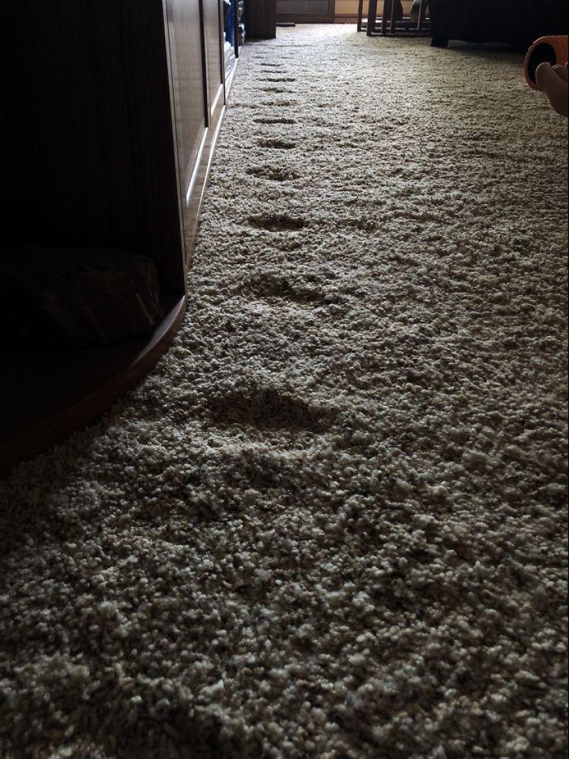 20+ pictures of the worn out things that prove that everything in this world has its time 20+ pictures of the worn out things that prove that everything in this world has its time