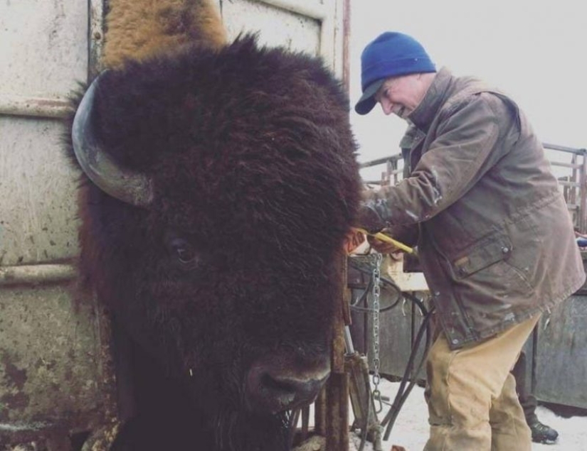 20 pictures that give an idea about the real sizes of some things 20 pictures that give an idea about the real sizes of some things