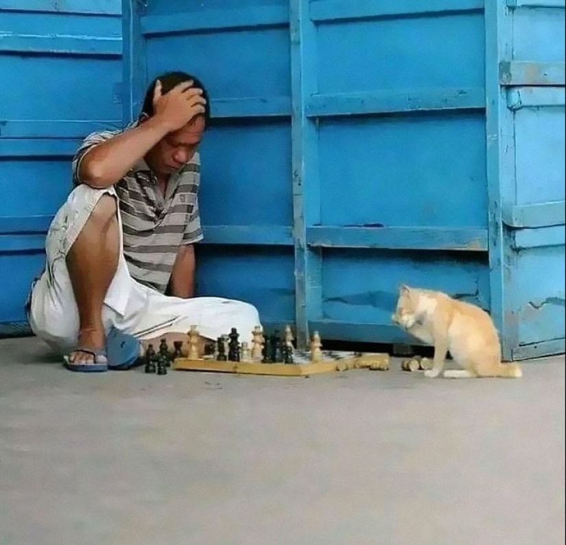 20 Random, Funny, And Unhinged Images That Show Off The Bizarre Side Of India