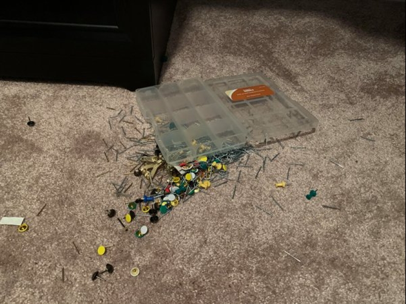 20 trifling situations that will annoy anyone 20 trifling situations that will annoy anyone