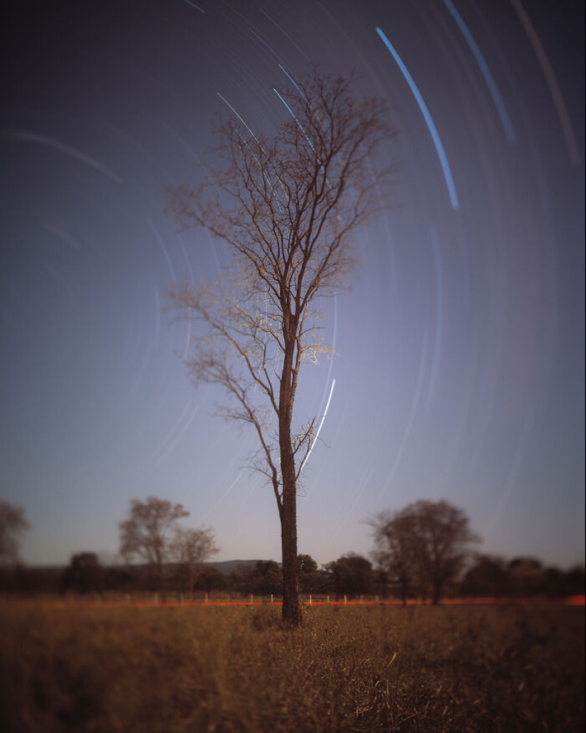 2023 IPA Winners: Exploring The Best In Analog Photography