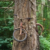 21 examples when nature defeated civilization