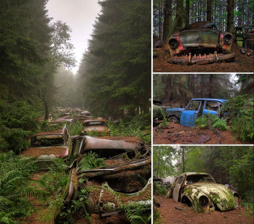21 examples when nature defeated civilization