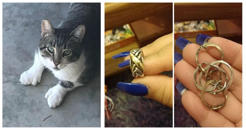 22 amazing transformations of familiar objects that will make your day 22 amazing transformations of familiar objects that will make your day