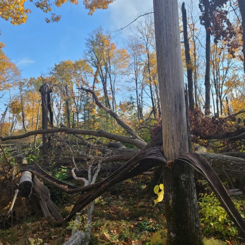 22 amazing transformations of familiar objects that will make your day 22 amazing transformations of familiar objects that will make your day