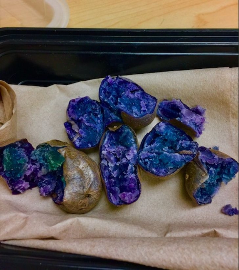 22 amazing transformations of familiar objects that will make your day 22 amazing transformations of familiar objects that will make your day