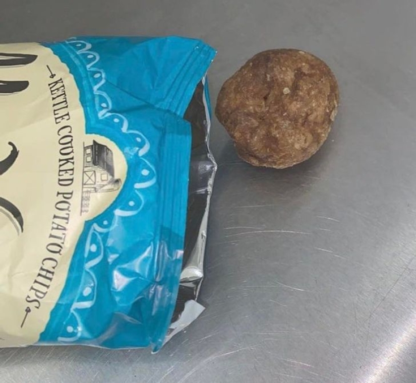 22 amazing transformations of familiar objects that will make your day 22 amazing transformations of familiar objects that will make your day