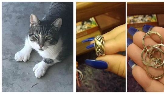 22 amazing transformations of familiar objects that will make your day