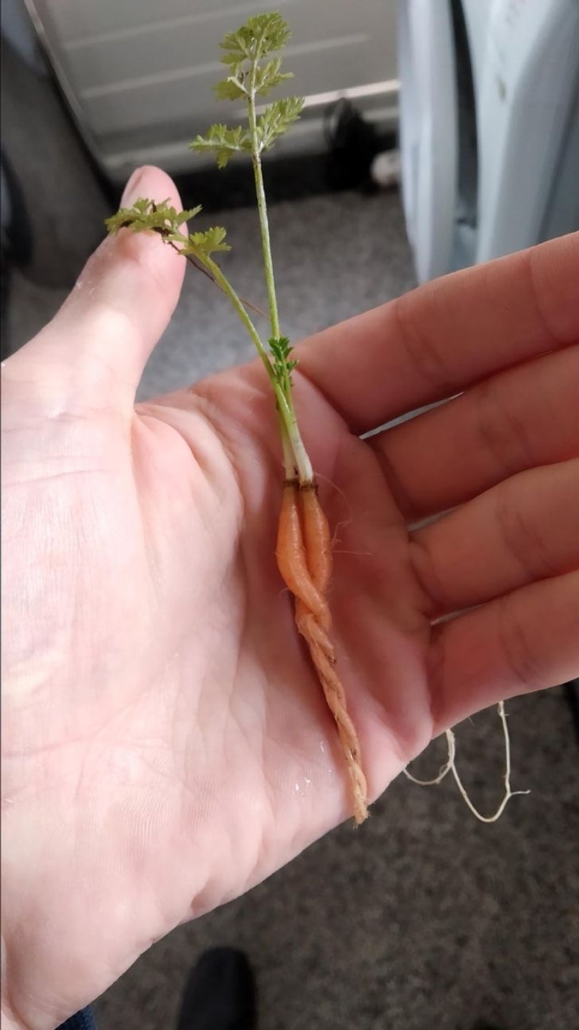 22 amazing transformations of familiar objects that will make your day 22 amazing transformations of familiar objects that will make your day