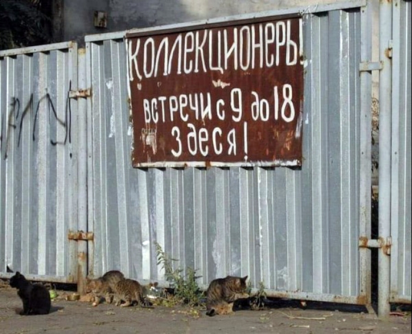 22 anuncios, carteles y carteles divertidos y ridículos 22 anuncios, carteles y carteles divertidos y ridículos