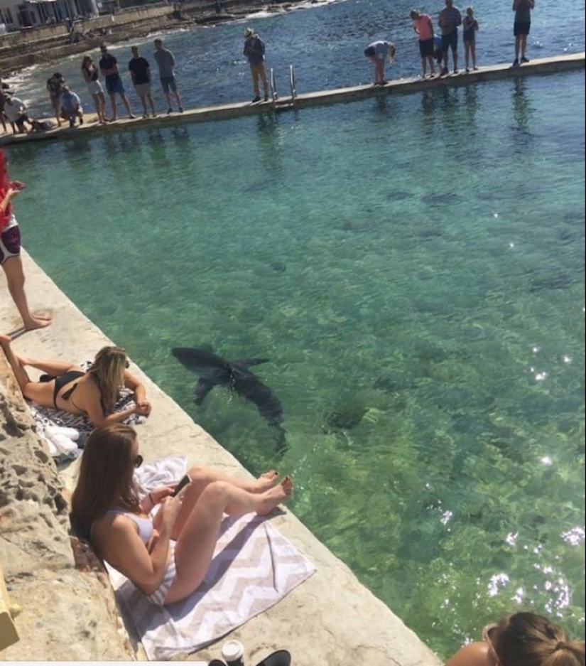 22 buenas razones para nunca visitar Australia 22 buenas razones para nunca visitar Australia