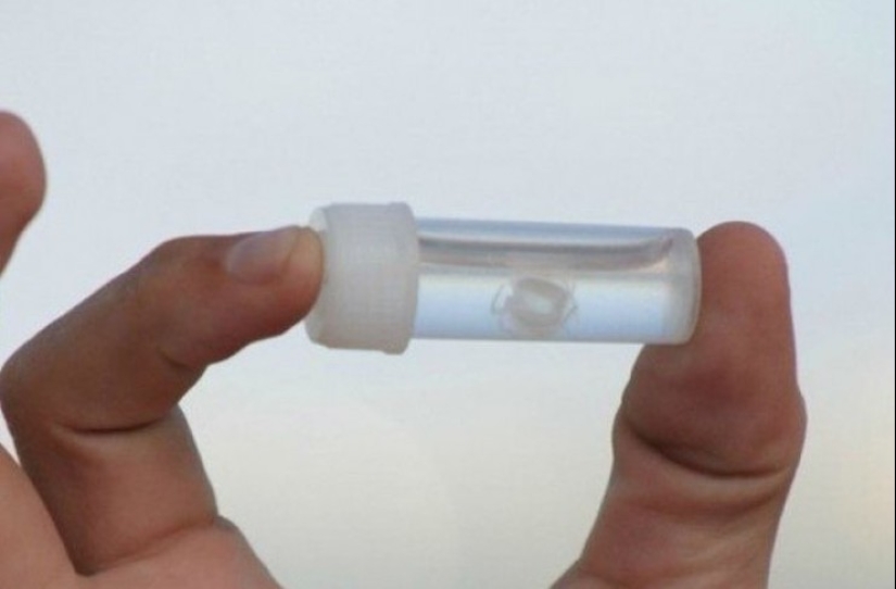 22 buenas razones para nunca visitar Australia 22 buenas razones para nunca visitar Australia