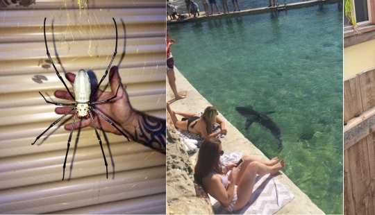 22 buenas razones para nunca visitar Australia