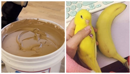 22 cases when inedible items turned out to be too similar to sweets