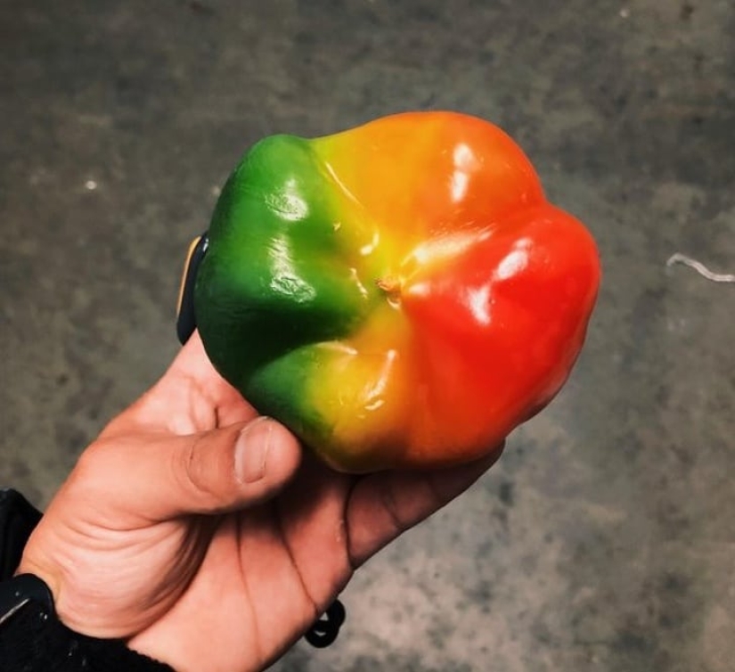 22 cases when someone won the grocery lottery 22 cases when someone won the grocery lottery