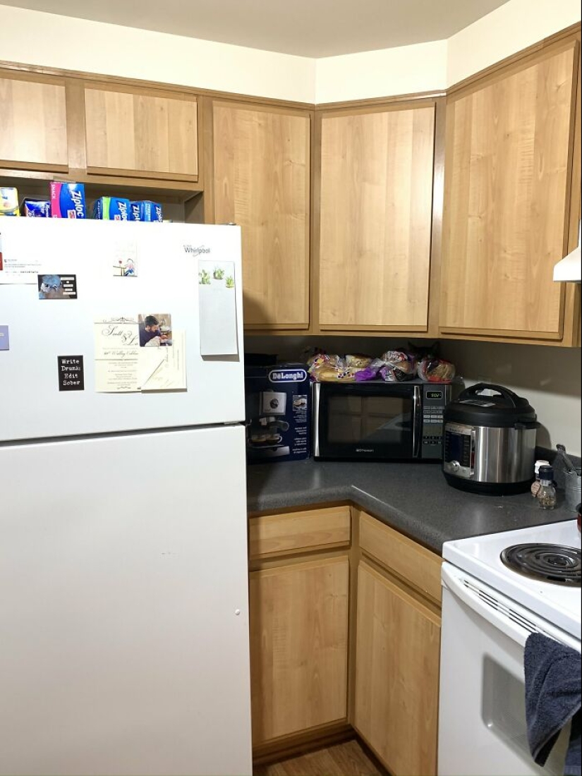 22 cats who have perfected the art of disguise 22 cats who have perfected the art of disguise