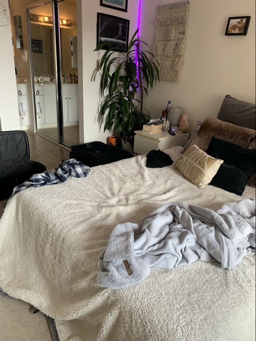 22 cats who have perfected the art of disguise 22 cats who have perfected the art of disguise