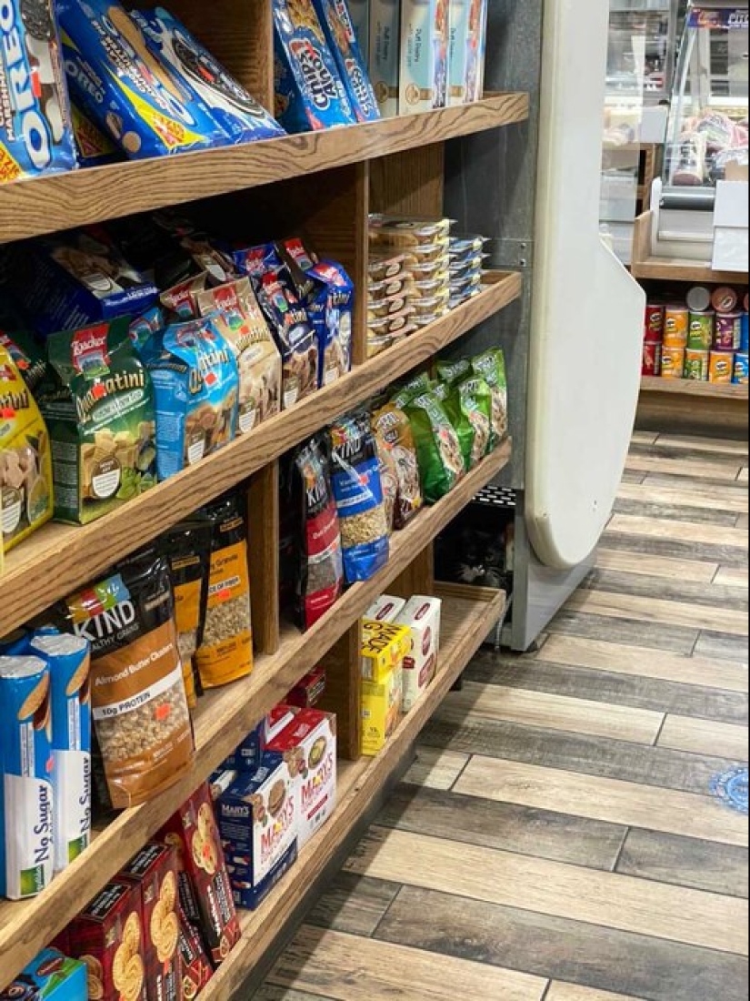 22 cats who have perfected the art of disguise 22 cats who have perfected the art of disguise