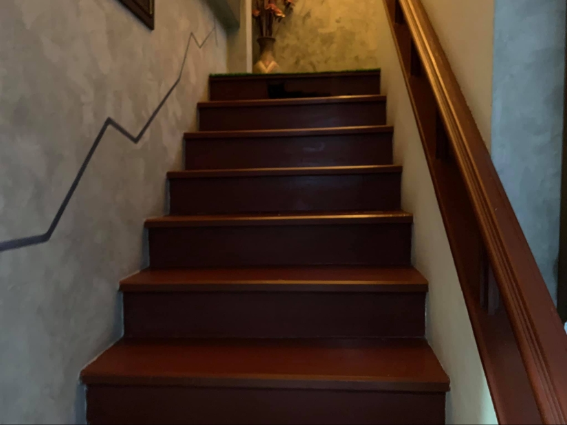 22 cats who have perfected the art of disguise 22 cats who have perfected the art of disguise