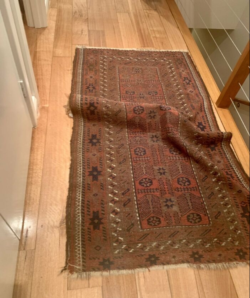 22 cats who have perfected the art of disguise 22 cats who have perfected the art of disguise