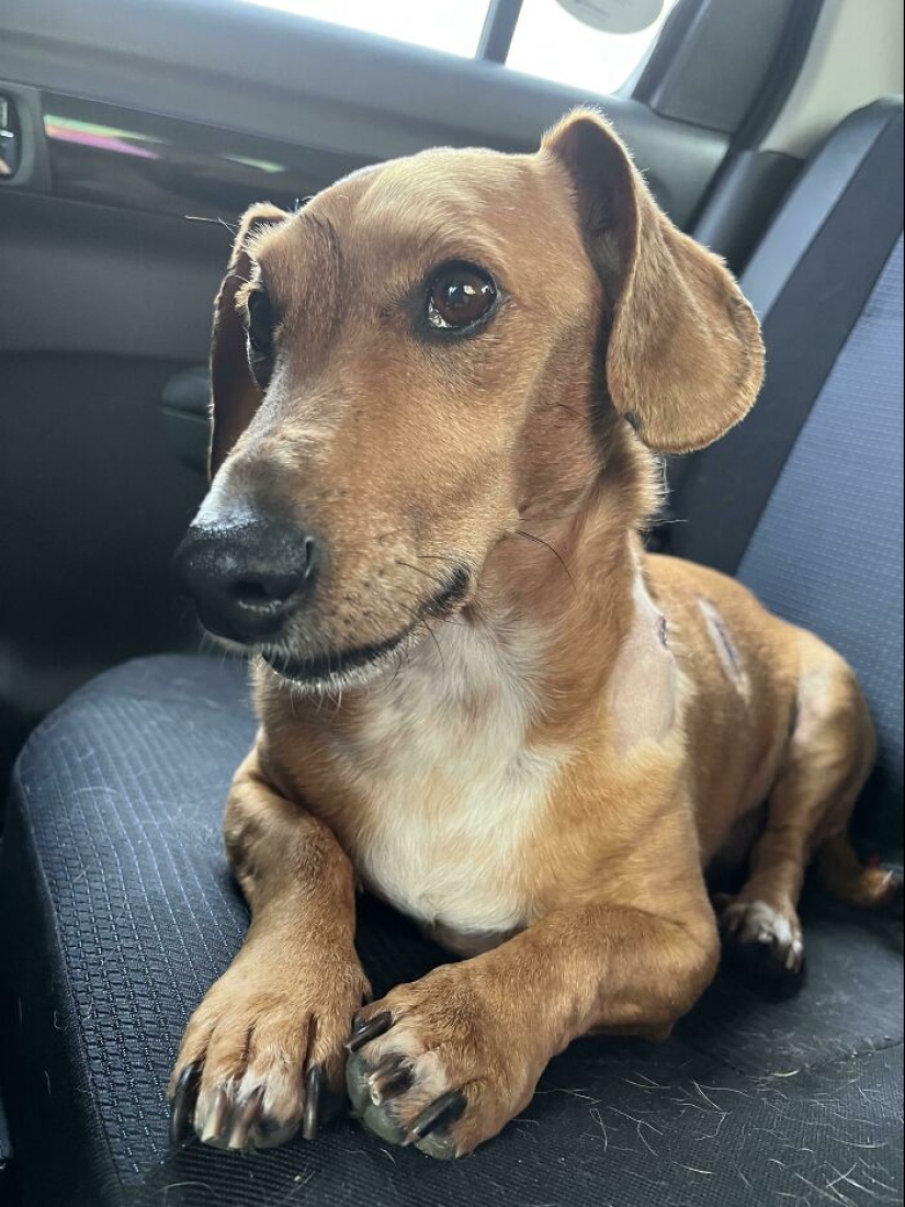 22 charming photos with animals that will cheer you up 22 charming photos with animals that will cheer you up