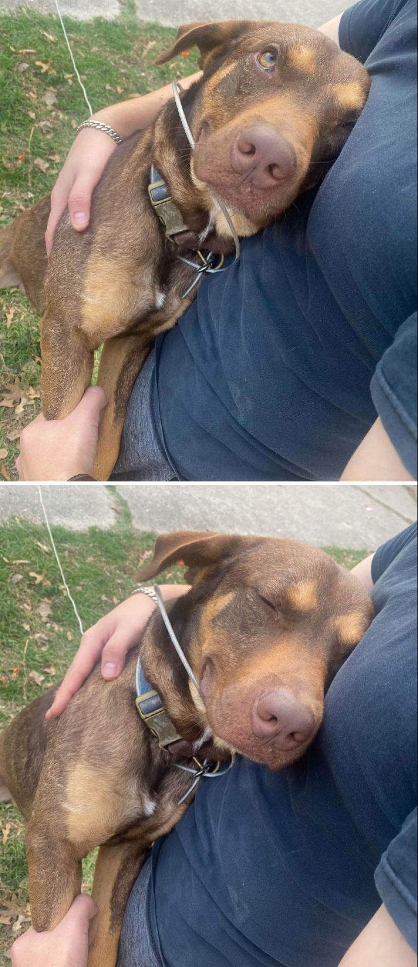 22 charming photos with animals that will cheer you up 22 charming photos with animals that will cheer you up