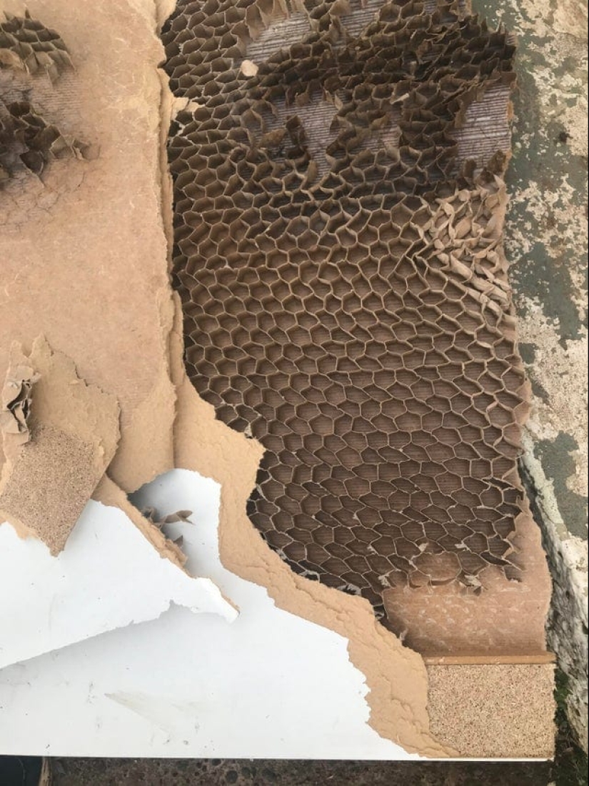 22 cognitive photos on the internal content of familiar things 22 cognitive photos on the internal content of familiar things