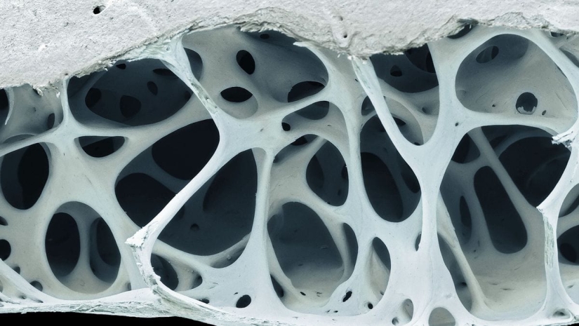 22 cognitive photos on the internal content of familiar things 22 cognitive photos on the internal content of familiar things