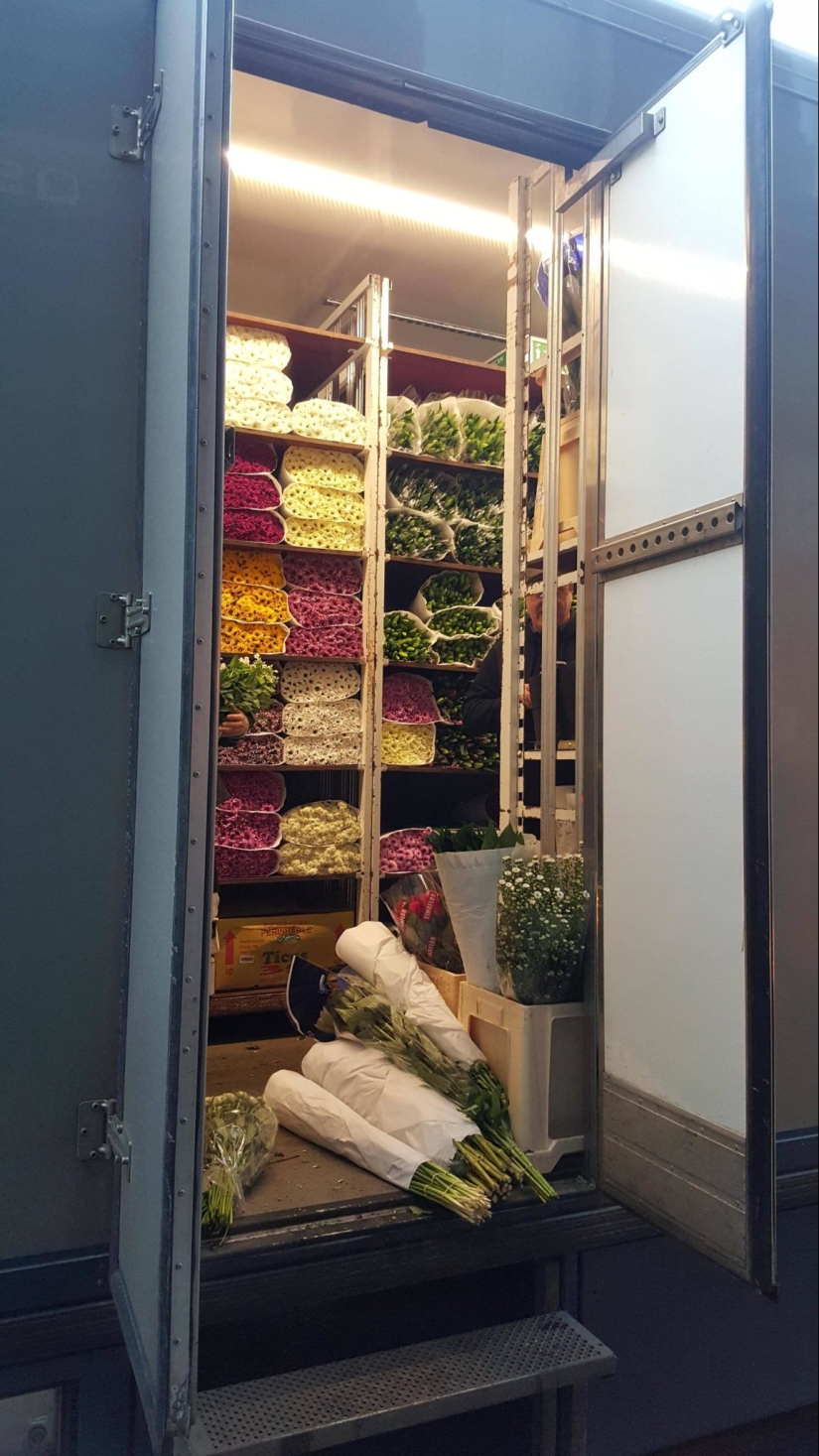 22 cognitive photos on the internal content of familiar things 22 cognitive photos on the internal content of familiar things