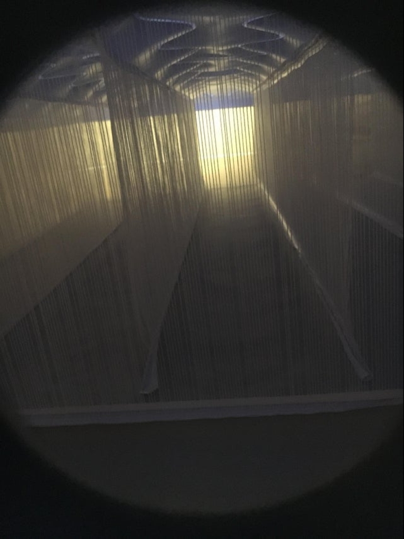 22 cognitive photos on the internal content of familiar things 22 cognitive photos on the internal content of familiar things