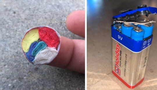 22 cognitive photos on the internal content of familiar things