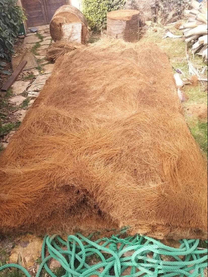 22 cognitive photos on the internal content of familiar things 22 cognitive photos on the internal content of familiar things