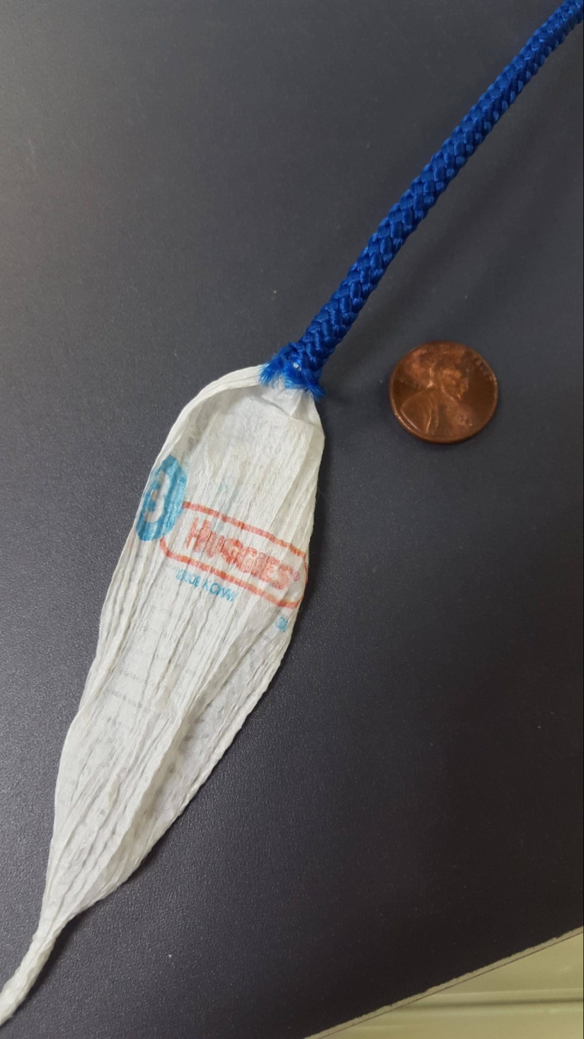 22 cognitive photos on the internal content of familiar things 22 cognitive photos on the internal content of familiar things