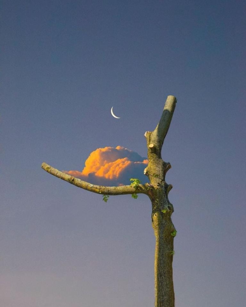 22 fotos de formas perfectas que no puedes quitar de vista 22 fotos de formas perfectas que no puedes quitar de vista