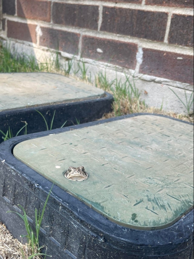 22 fotos de formas perfectas que no puedes quitar de vista 22 fotos de formas perfectas que no puedes quitar de vista