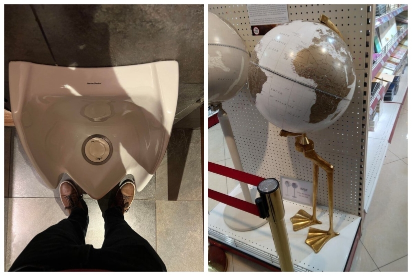 22 fotos divertidas de animales a los que no les gusta el Año Nuevo