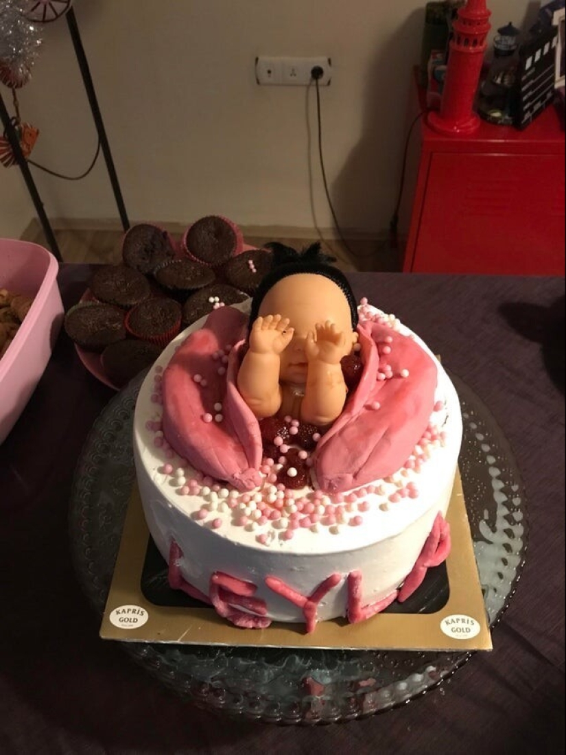 22 fotos divertidas de animales a los que no les gusta el Año Nuevo