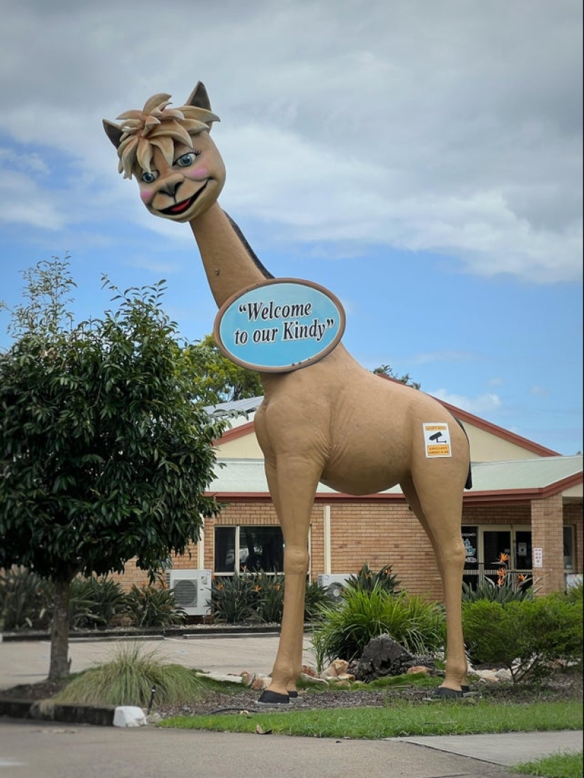 22 fotos divertidas de animales a los que no les gusta el Año Nuevo