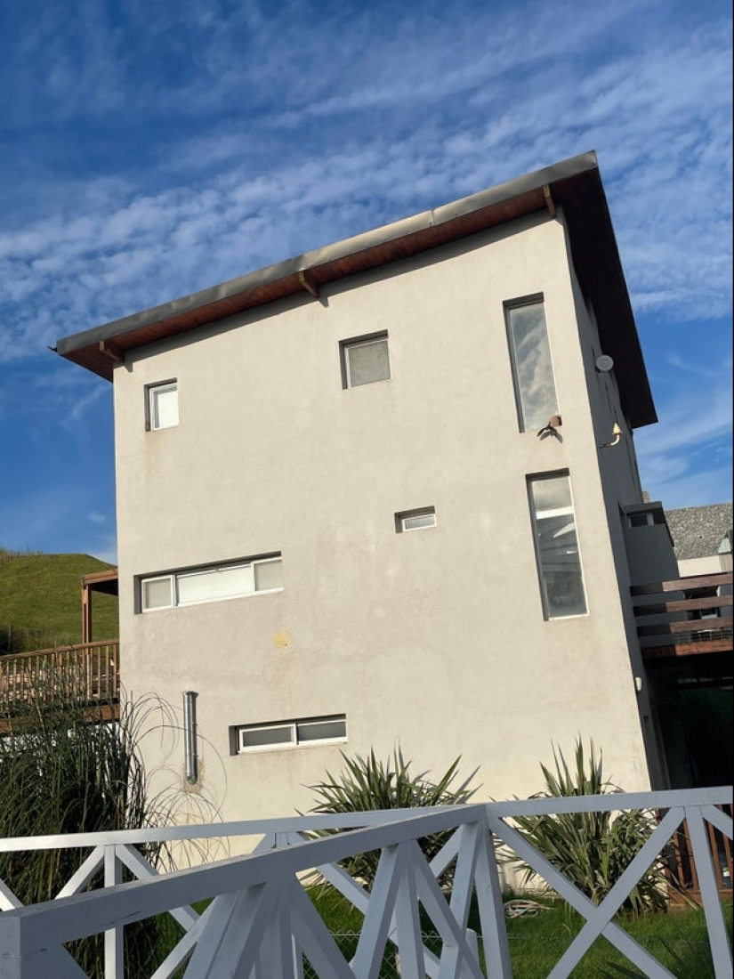 22 fotos divertidas de animales a los que no les gusta el Año Nuevo