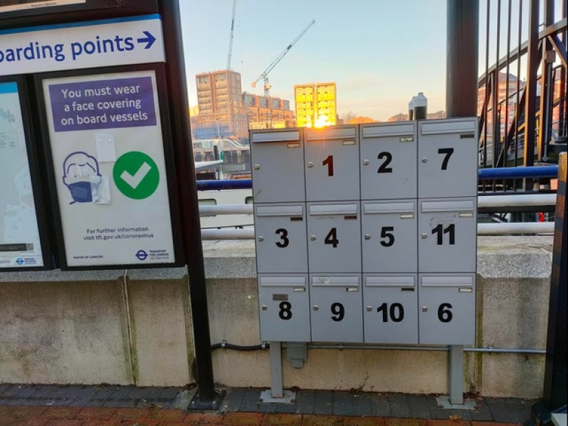 22 fotos divertidas de animales a los que no les gusta el Año Nuevo