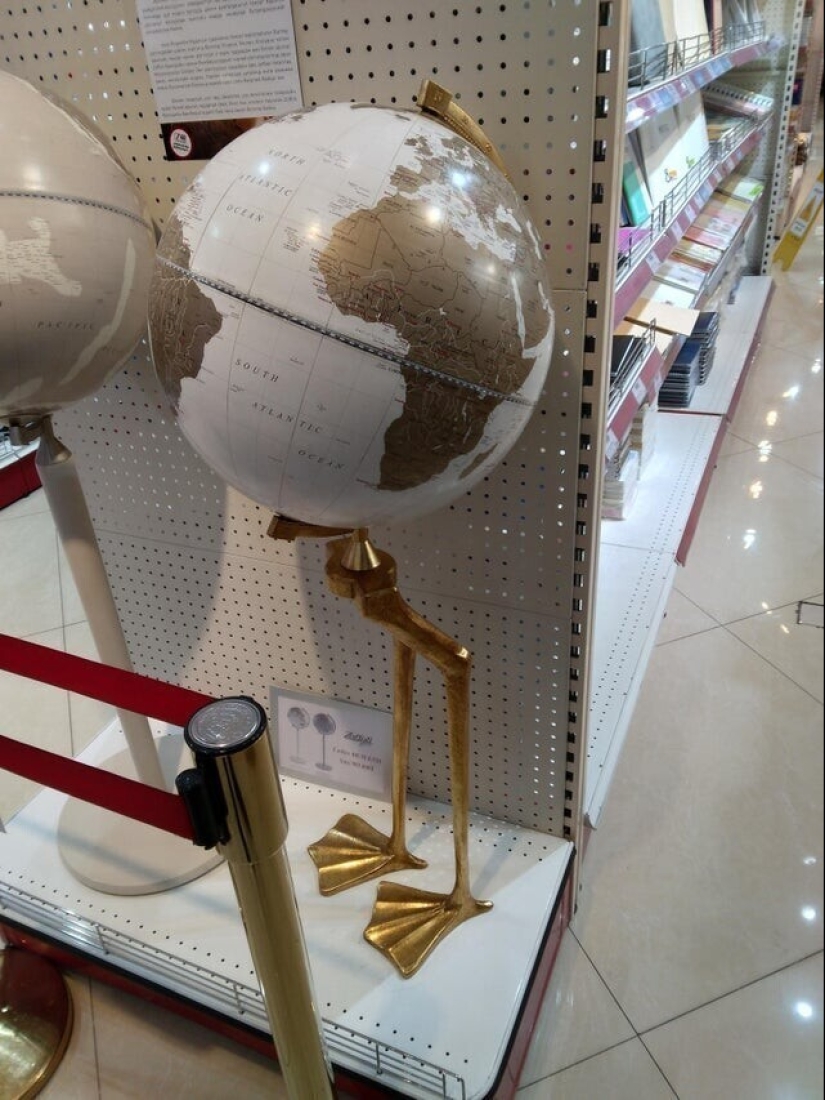 22 fotos divertidas de animales a los que no les gusta el Año Nuevo