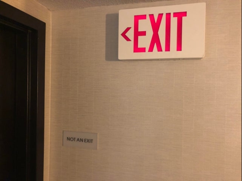 22 fotos divertidas de animales a los que no les gusta el Año Nuevo